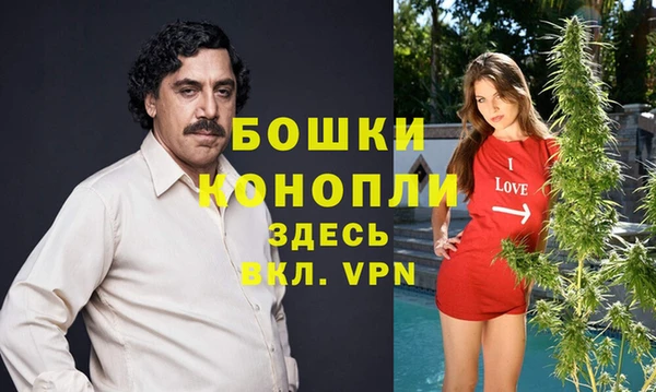 мдпв Богданович