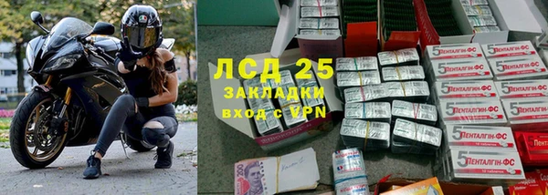 мдпв Богданович