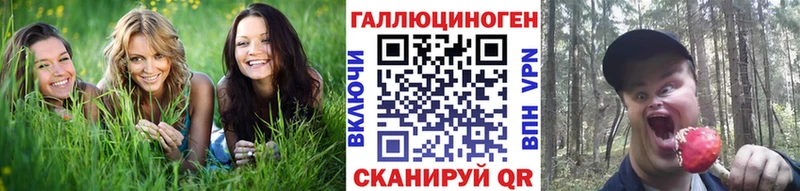 Псилоцибиновые грибы мицелий mega как войти Севск продажа наркотиков